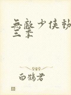 无敌少侠动漫第三季