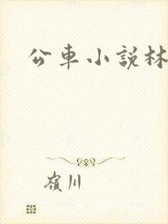 公车小说林蔓蔓