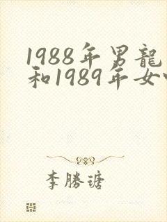 1988年男龙和1989年女蛇有姻缘吗