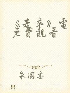 《走卒》电视剧免费观看