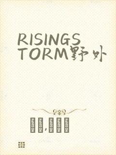 RISINGSTORM野外封面