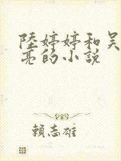 陆婷婷和吴刚吴亮的小说