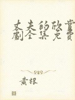 丈夫的欣赏电视剧全集免费观看