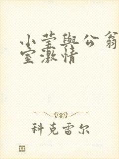 小莹与公翁办公室激情