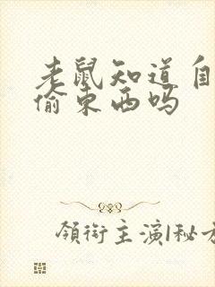 老鼠知道自己是偷东西吗