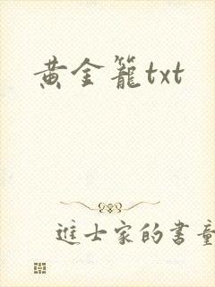 黄金笼txt