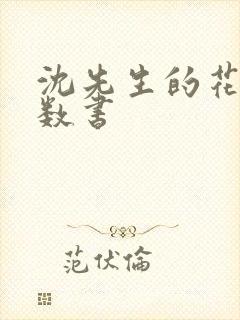 沈先生的花式调数书封面