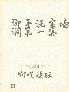 御手洗家墙壁破洞第一集