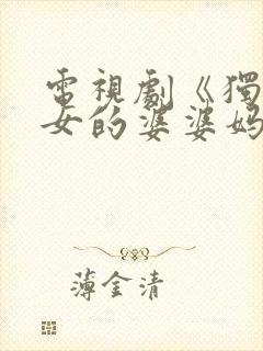 电视剧《独生子女的婆婆妈妈》