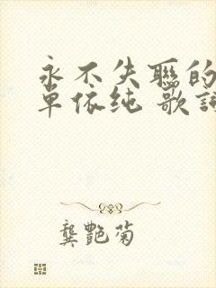 永不失联的爱 单依纯 歌词封面