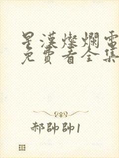 星汉灿烂电视剧免费看全集完整版封面