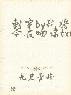 刺穿by我将在今夜吻你txt免费阅读