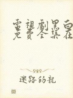 电视剧黑白密码免费全集在线观看