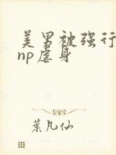 美男被强行糟蹋np虐身封面