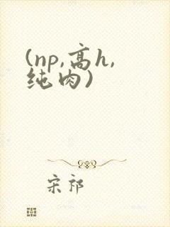 (np,高h,纯肉)