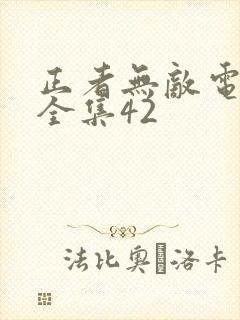 正者无敌电视剧全集42