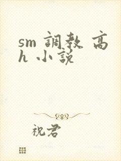 sm 调教 高h 小说