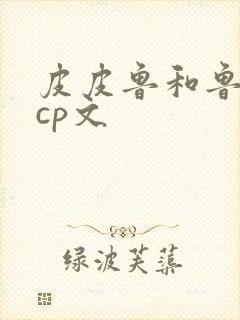 皮皮鲁和鲁西西cp文