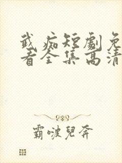 武痴短剧免费观看全集高清