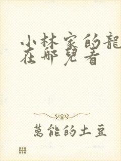 小林家的龙女仆在哪儿看