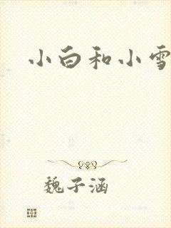 小白和小雪