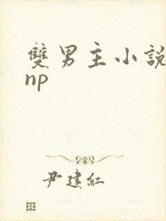 双男主小说高hnp封面