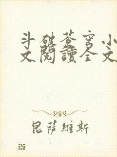 斗破苍穹小说全文阅读全文封面