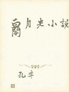 白月光小说笔趣阁