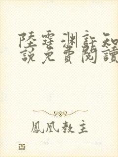 陆霆渊许知夏小说免费阅读最新章节封面