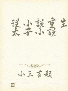 从小说重生大周太子小说