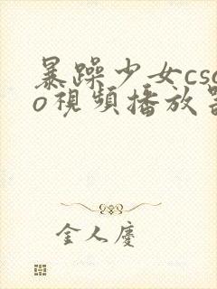 暴躁少女csgo视频播放器推荐