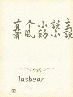 有个小说主角叫萧风的小说