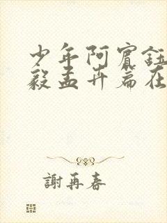 少年阿宾钰慧小毅孟卉篇在线阅读封面