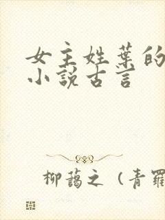 女主姓叶的穿越小说古言封面