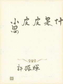 小皮皮是什么意思