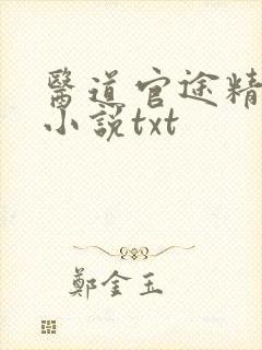 医道官途精校版小说txt封面