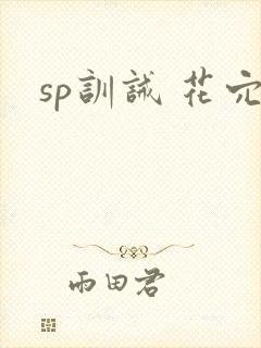 sp训诫 花穴