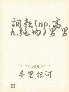 调教(np,高h,纯肉)男男