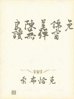 良陈美锦免费阅读无弹窗