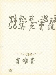 点燃我,温暖你56集免费观看