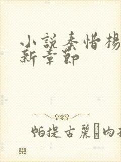 小说秦惜杨辰最新章节