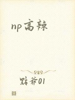 np高辣