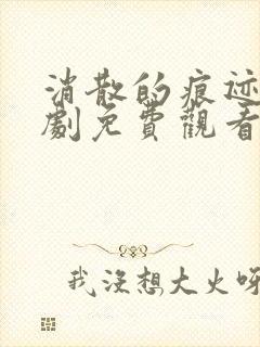 消散的痕迹电视剧免费观看