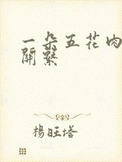 一朵五花肉错位关系封面