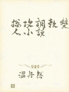 总攻调教双性美人小说封面