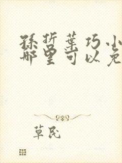 孙哲叶巧小说在哪里可以免费阅读