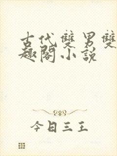 古代双男双性笔趣阁小说