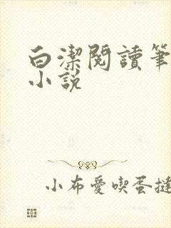 白洁阅读笔趣阁小说