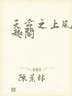 天命之上风月笔趣阁封面