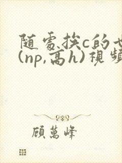 随处挨c的世界(np,高h)视频